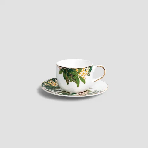 Tea pair BELIZE  