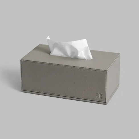 Tissue box KINT