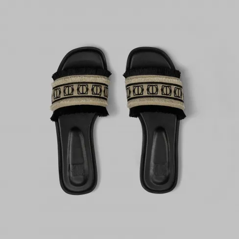 Slides TALISSIA