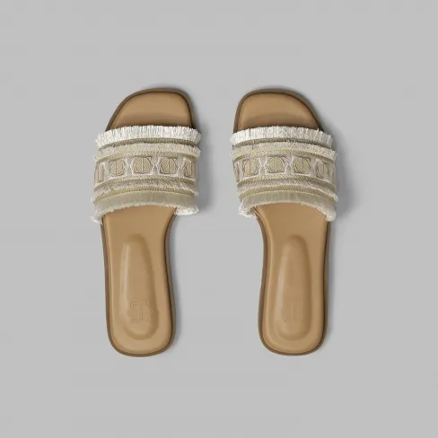 Slides TALISSIA