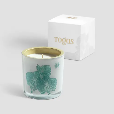 Scented candle WOODY SAFFROM OZNU
