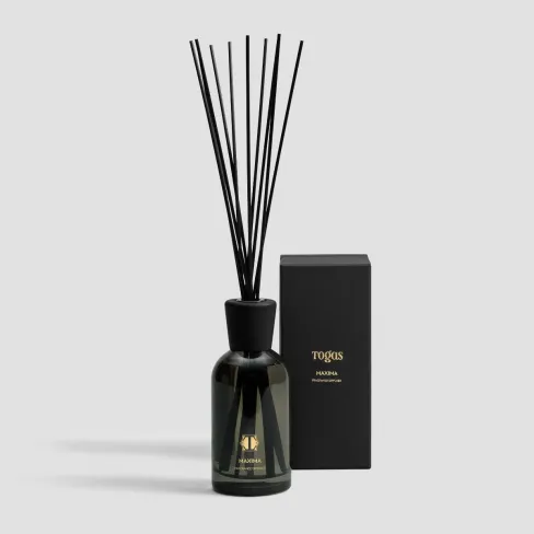 Aroma diffuser MAXIMA    
