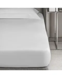 Sheet MORTE