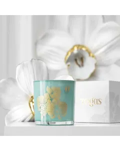 Scented candle APRICOT AND OAT