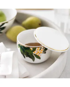 Sugar bowl BELIZE  