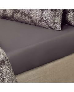 Sheet ASTI    