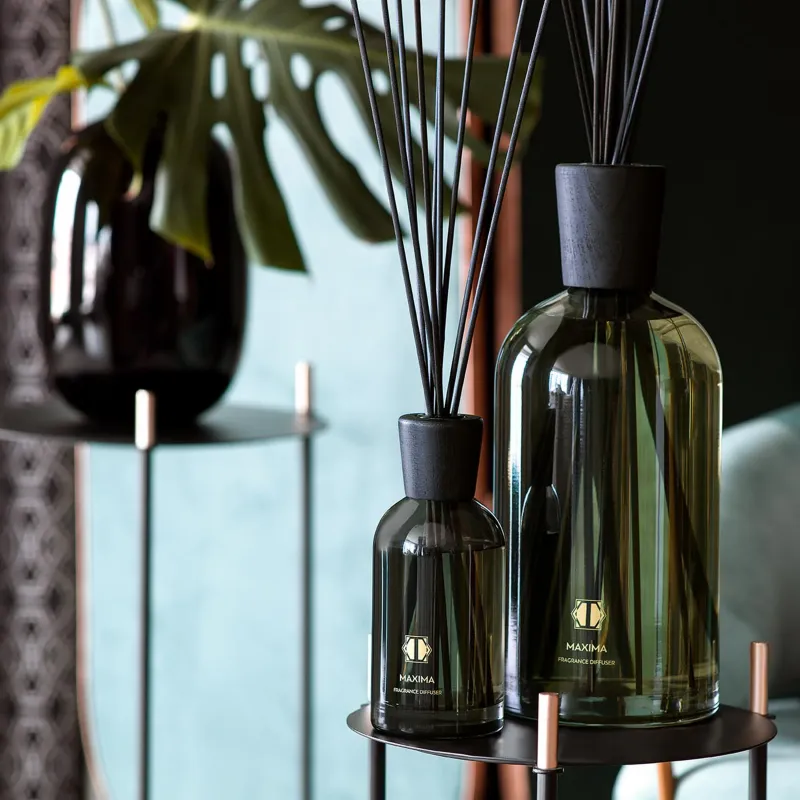 Aroma diffuser MAXIMA    