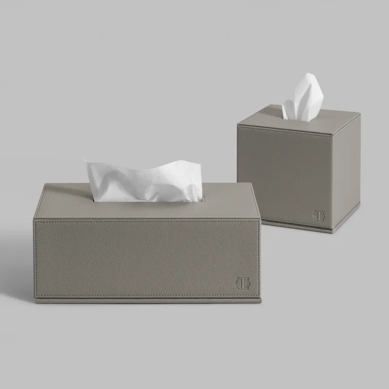 Tissue box KINT