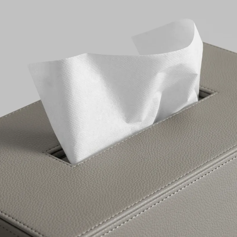 Tissue box KINT