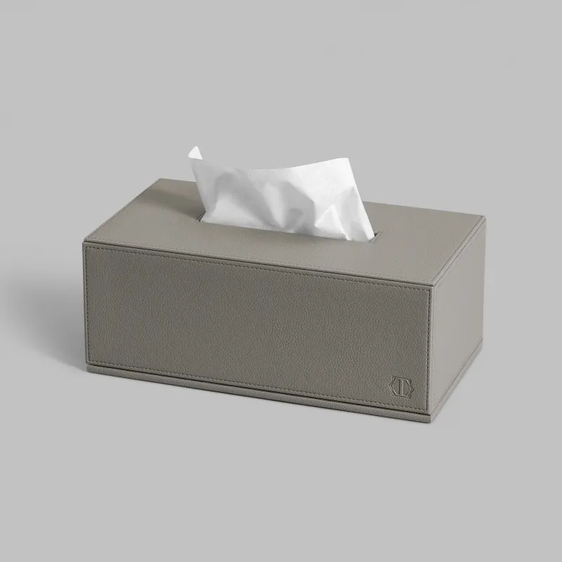 Tissue box KINT