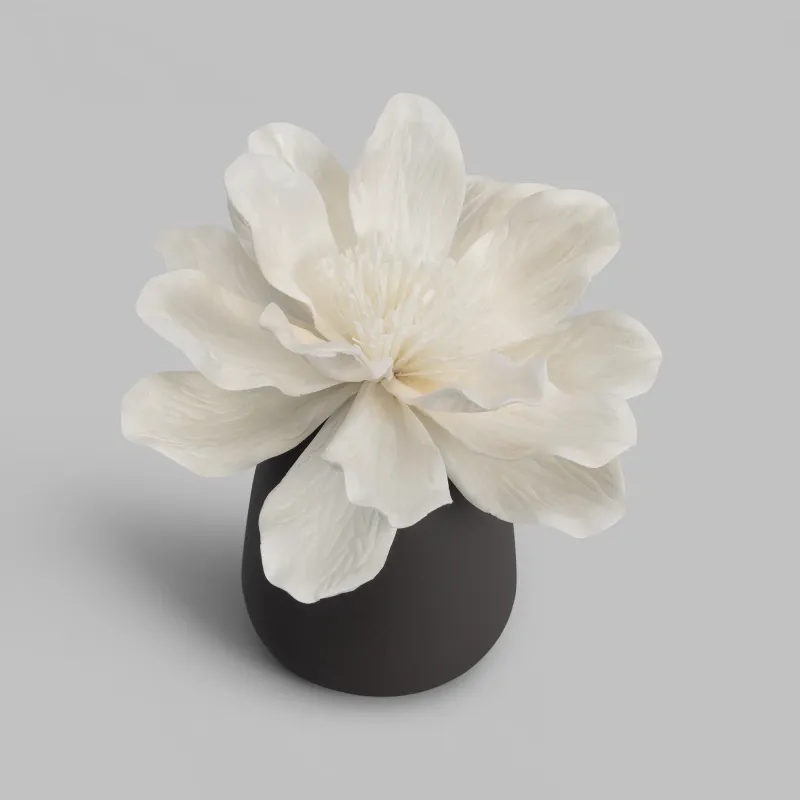 Bottle for an aroma diffuser LOTUS