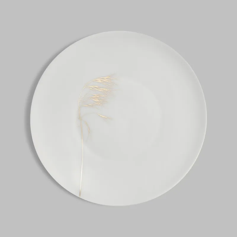 Dinner plate NATURIS