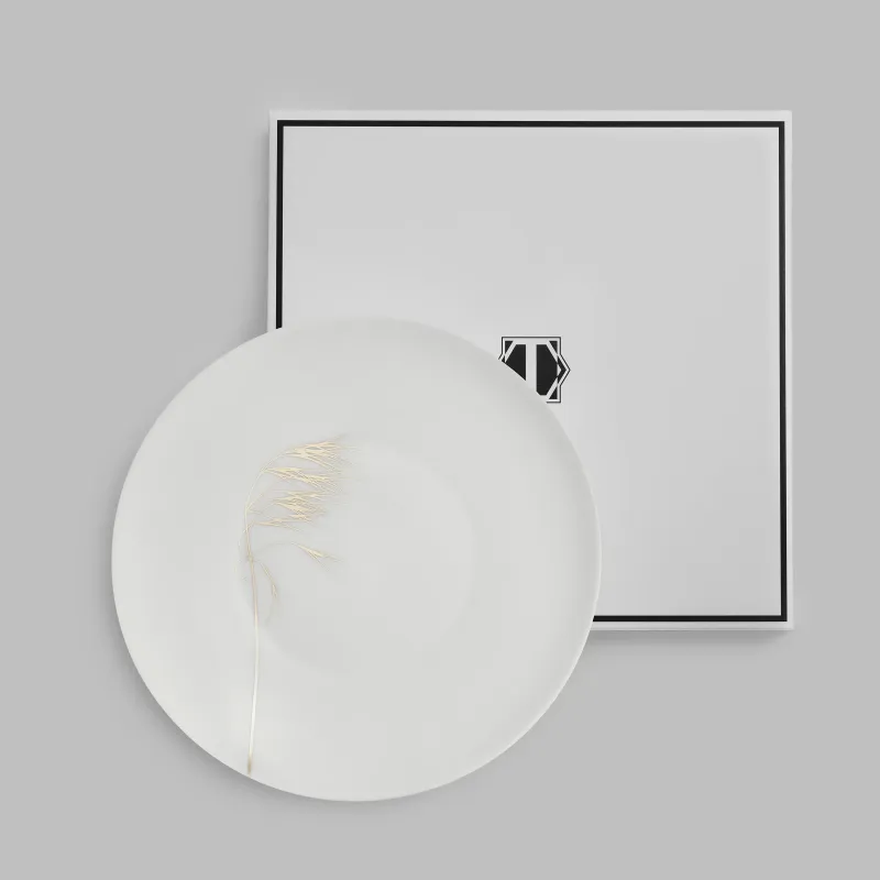 Dinner plate NATURIS