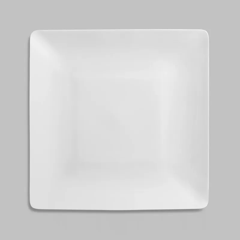 Dinner plate NEA
