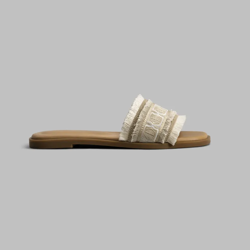 Slides TALISSIA