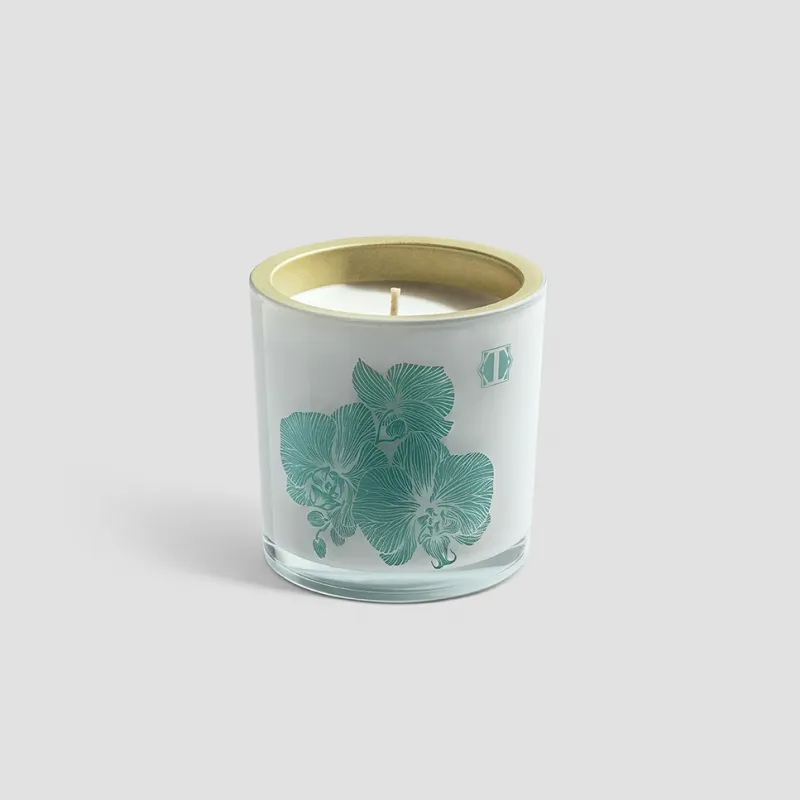 Scented candle WOODY SAFFROM OZNU