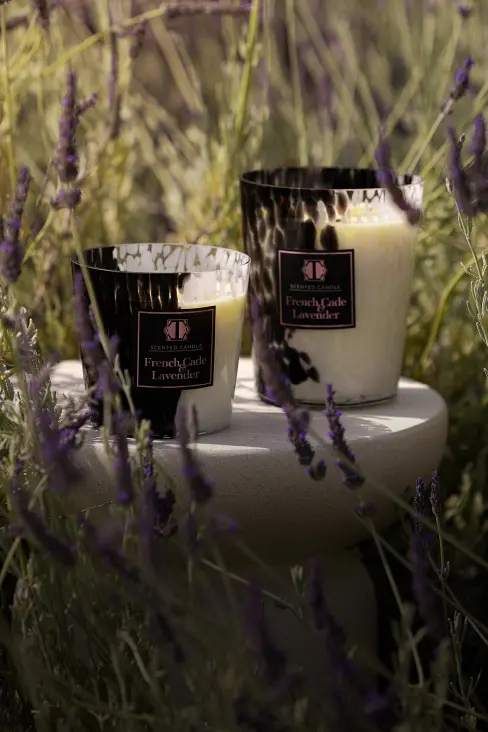 Link to Scented Aroma Escape category page
